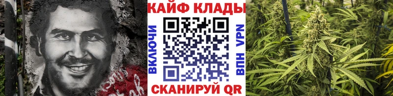Хочу наркоту Дмитровск Кокаин  Меф  NBOMe  A PVP  Марихуана  Гашиш 