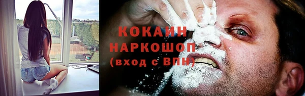 ешки Вяземский