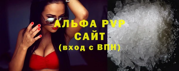 ешки Вяземский