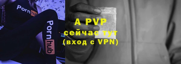 ешки Вяземский