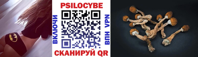 Псилоцибиновые грибы MAGIC MUSHROOMS  Дмитровск 