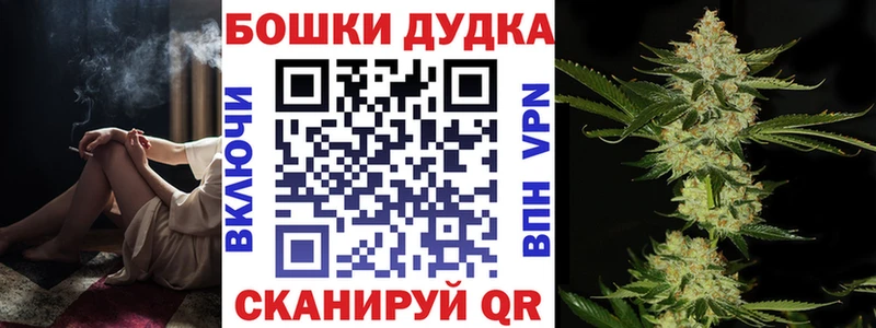 Конопля сатива  Дмитровск 
